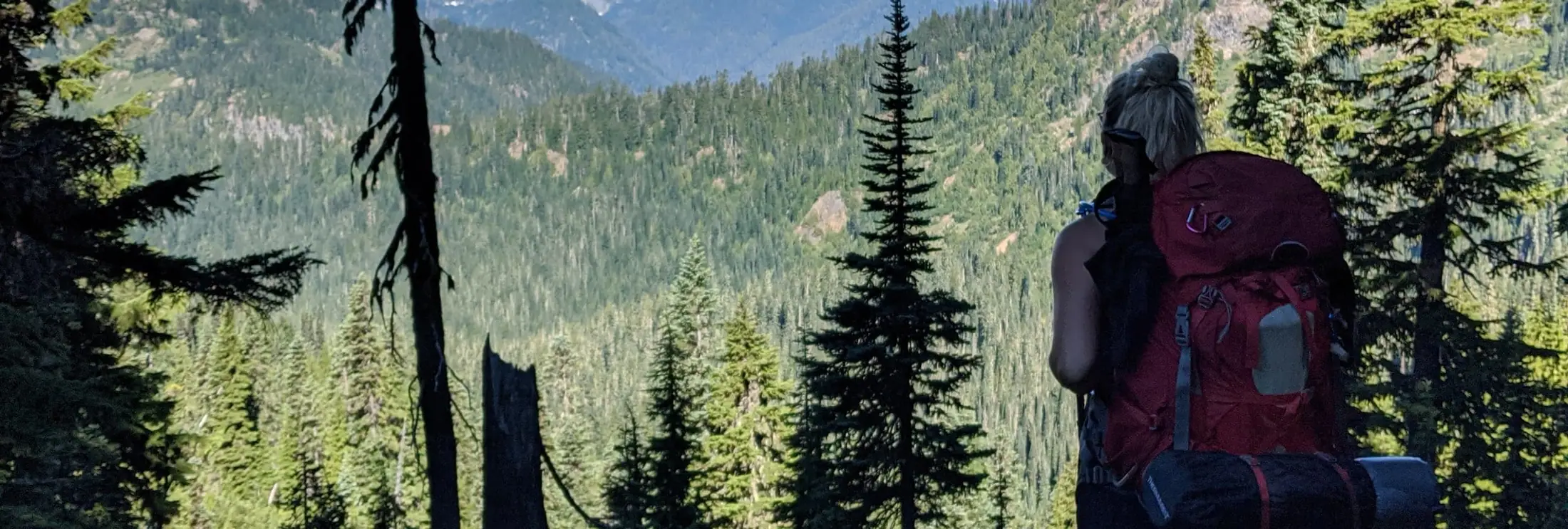 Hiker with a red pack looking over a forested valley